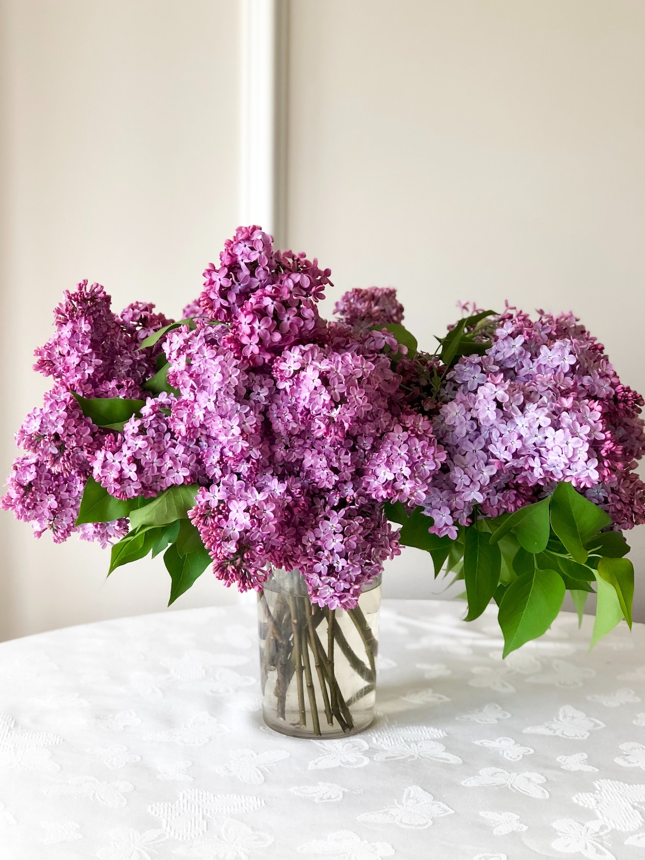 The last lilac arrangement for a dying mother-in-law