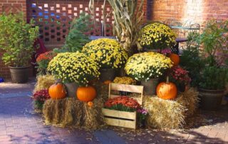 Thankful for encouraging people